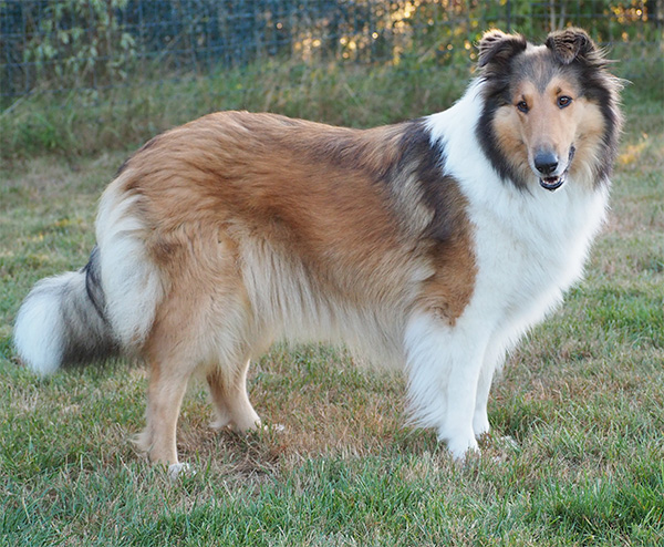 Jazlyn Kopfportrait6 600