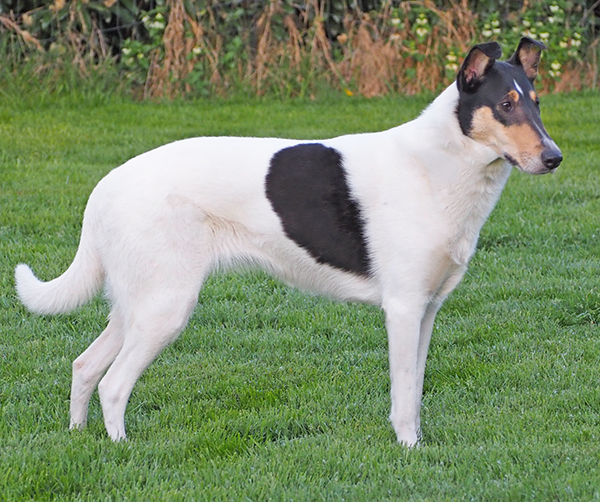 Minnie Sonne sitzend 2