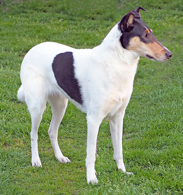 Minnie von re oben