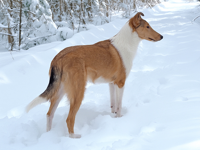 Yasmine 6 Monate 2 700